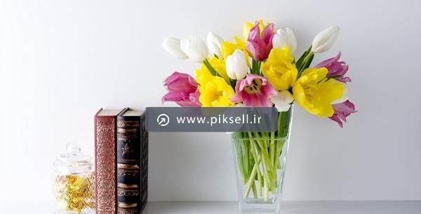 دانلود عکس گل لاله با کیفیت بالا