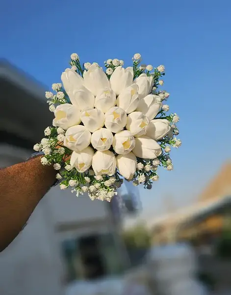 عکس گل لاله سفید عروس