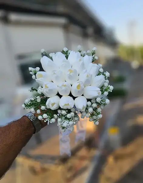 عکس گل لاله سفید عروس
