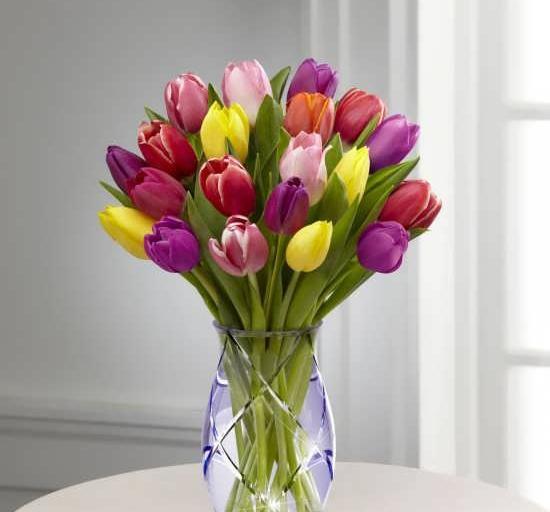 عکس تصاویر زیبای گل لاله