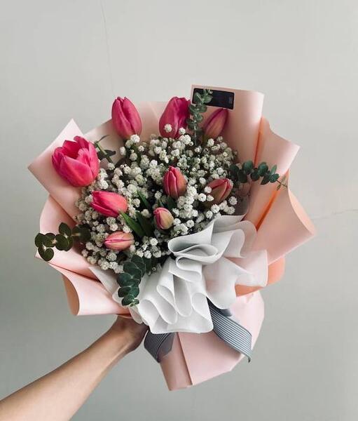 زیباترین عکس گل لاله