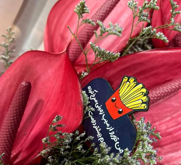 زیباترین عکس های گل لاله