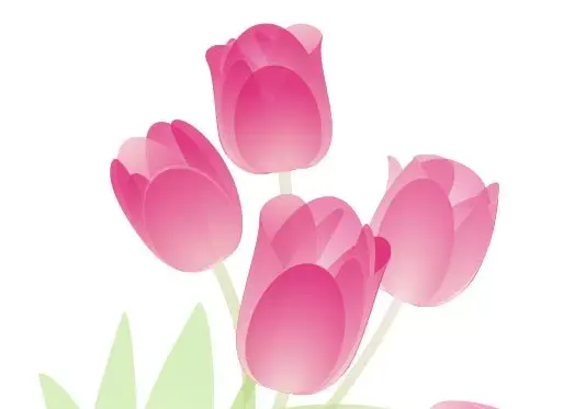 عکس گل لاله شهدایی