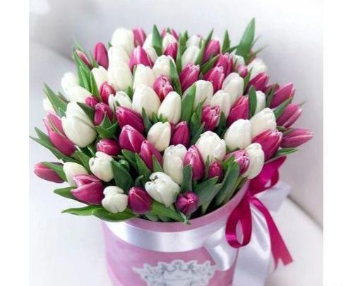 عکس گل لاله بنفش زیبا