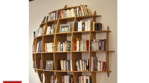 عکس کتابخانه دیواری