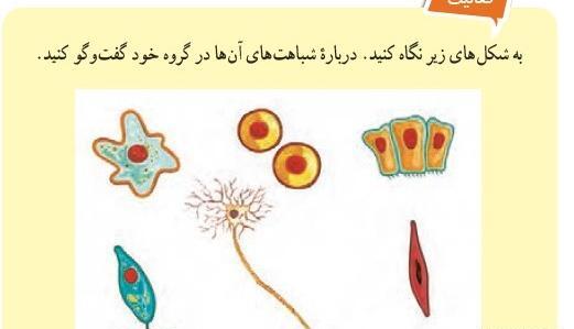 عکس های کتاب علوم هفتم