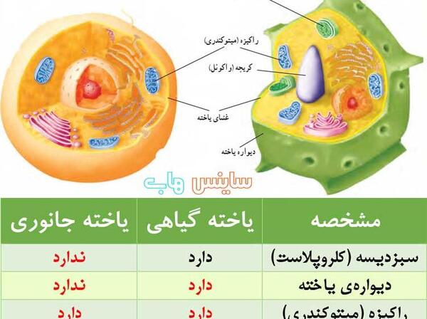 عکس های کتاب علوم هفتم