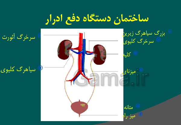 عکس کلیه کتاب علوم هفتم