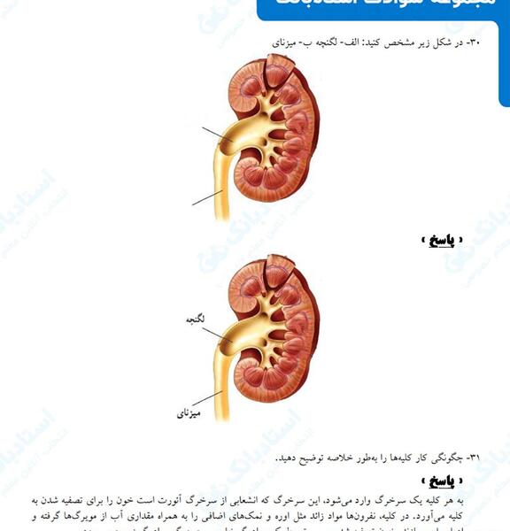 عکس کلیه کتاب علوم هفتم