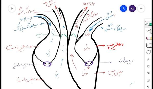 عکس کلیه کتاب علوم هفتم