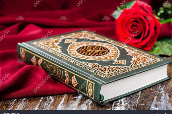 عکس کتاب و گل رز