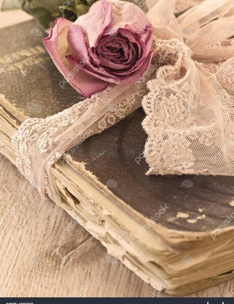 عکس کتاب و گل رز