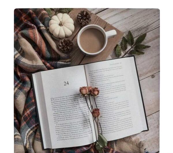عکس کتاب و گل رز