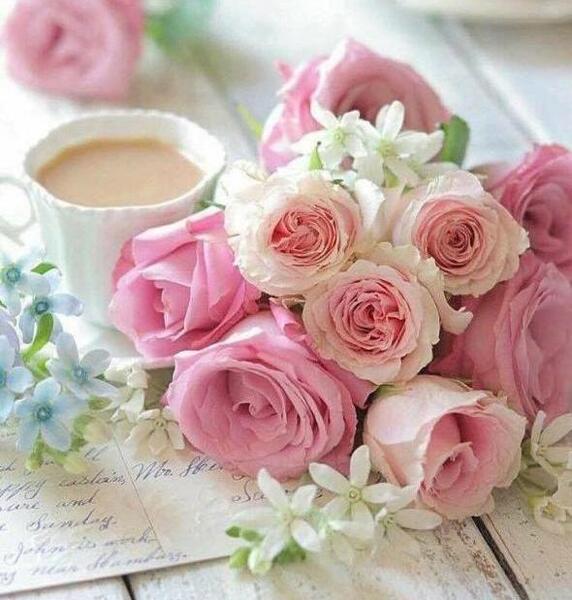 عکس کتاب و گل رز