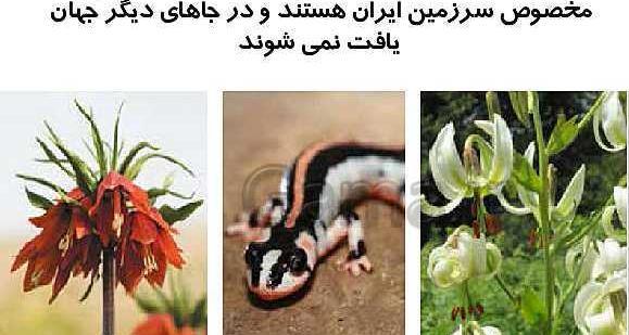 عکس های داخل کتاب مطالعات اجتماعی هفتم