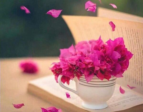 عکس پروفایل کتاب و گل