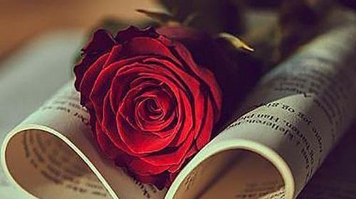 عکس پروفایل کتاب و گل