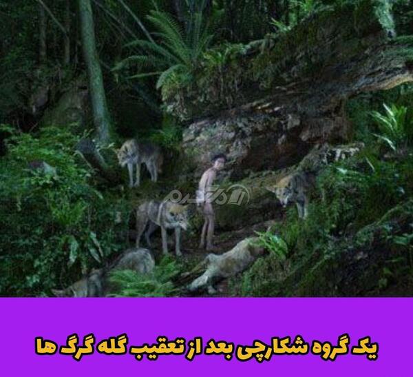 عکس فیلم کتاب جنگل