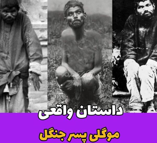 عکس موگلی کتاب جنگل