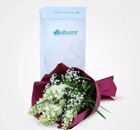 زیباترین عکس گل مریم قرمز