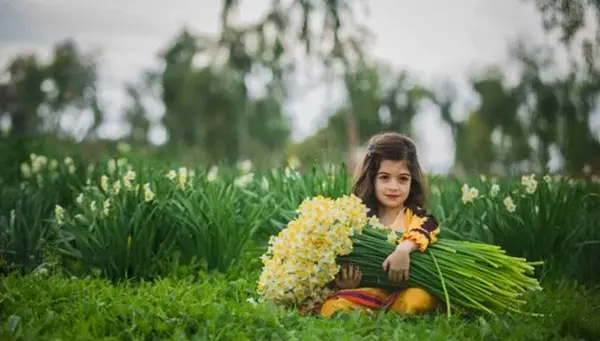عکسهای گل نرگس برای پروفایل