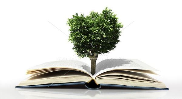 عکس کتابخوانی فانتزی