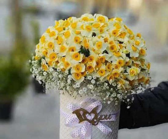 عکس گلدان گل نرگس