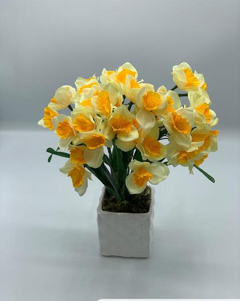 عکس گلدان گل نرگس