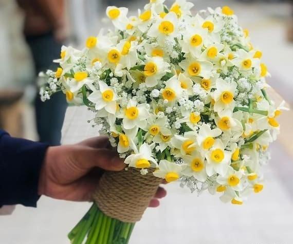 عکس های گل نرگس در طبیعت