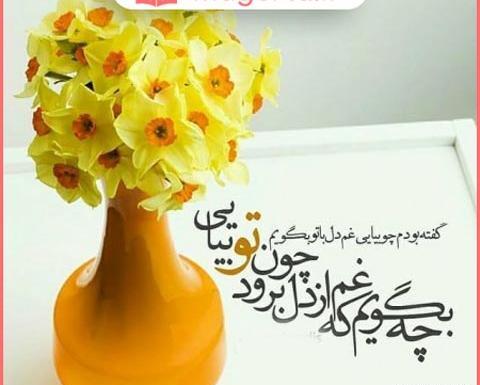 شیک عکس گل نرگس برای پروفایل