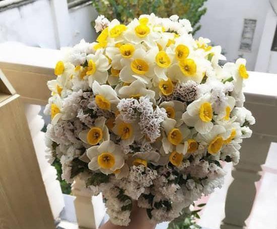 عکس گل نرگس داخل ماشین