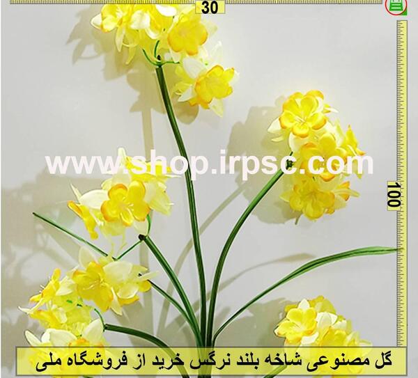 عکس گل نرگس داخل ماشین