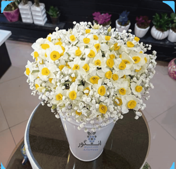 عکس گل نرگس داخل ماشین