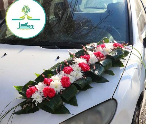 عکس گل نرگس داخل ماشین