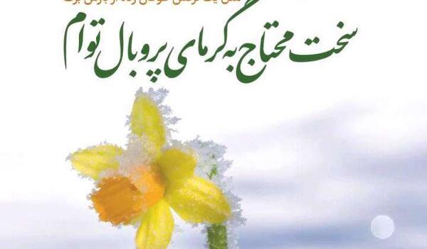 پروفایل عکس گل نرگس در برف