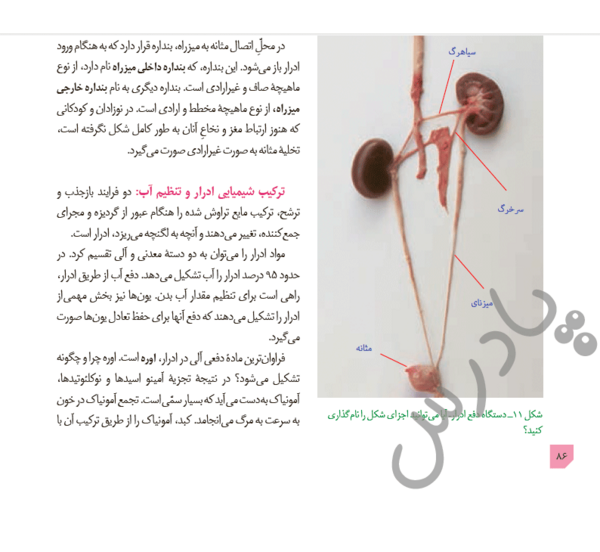 عکس کتاب زیست دهم تجربی