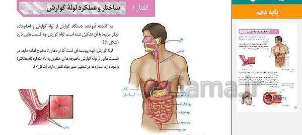 عکس های کتاب زیست دهم