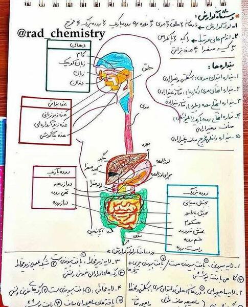 عکس های کتاب زیست دهم