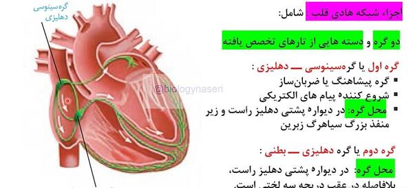 عکس قلب در کتاب زیست دهم