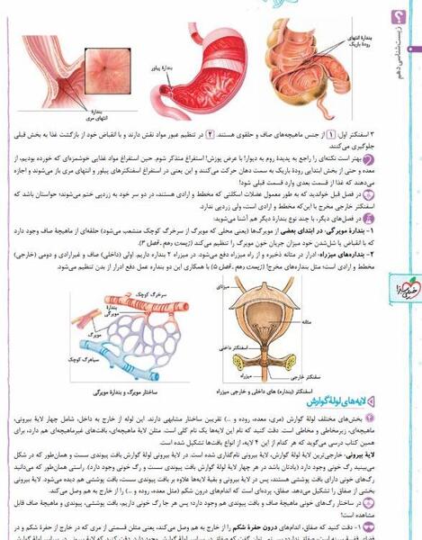 عکس کتاب خیلی سبز زیست دهم