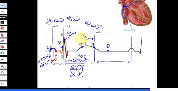 عکس نوار قلب کتاب زیست دهم