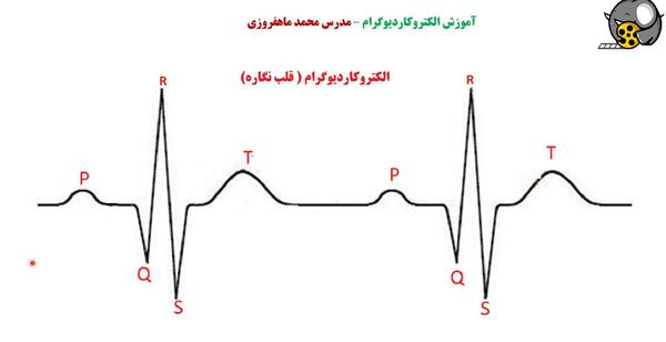 عکس نوار قلب کتاب زیست دهم