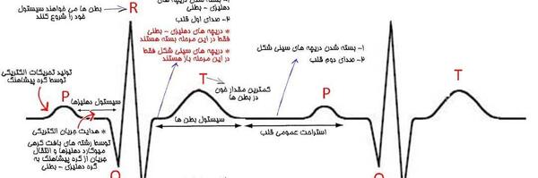 عکس نوار قلب کتاب زیست دهم
