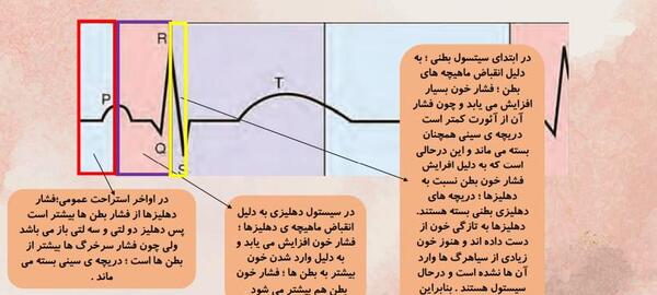 عکس نوار قلب کتاب زیست دهم