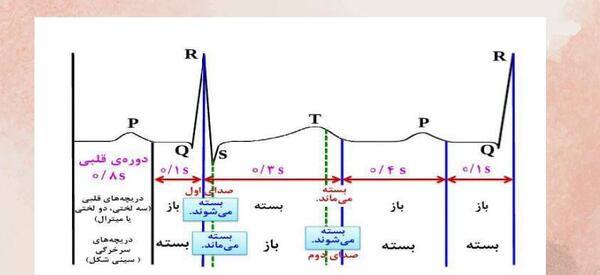عکس نوار قلب کتاب زیست دهم
