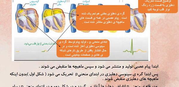 عکس نوار قلب کتاب زیست دهم