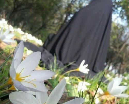 عکس پروفایل دختر چادری با گل نرگس