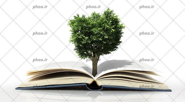 عکس کتاب باز سفید