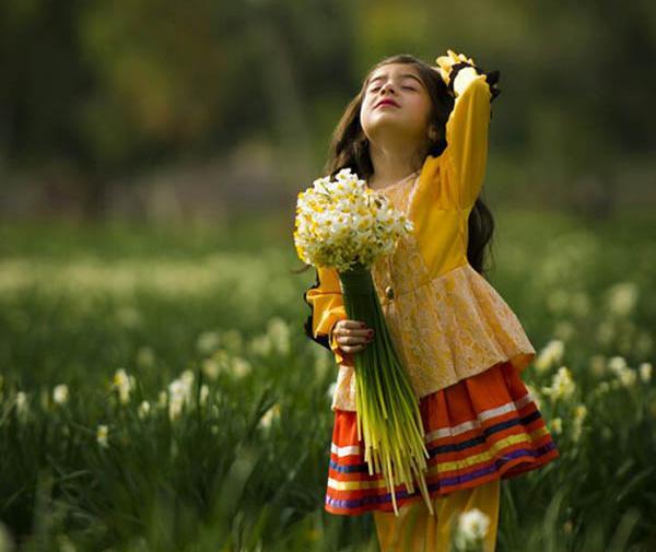 دانلود عکس پروفایل گل نرگس
