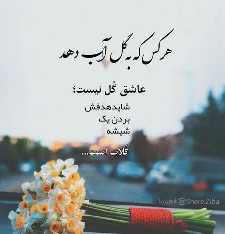 عکس پروفایل گل نرگس با متن